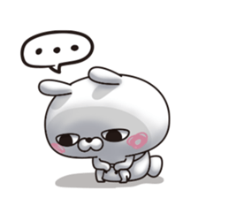443116123