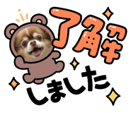 443151117