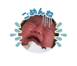 443152059