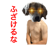 443172294