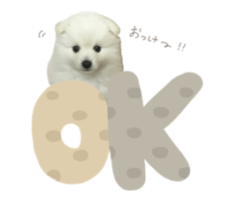 443174862