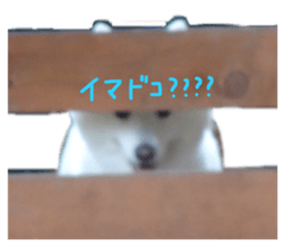 443176094