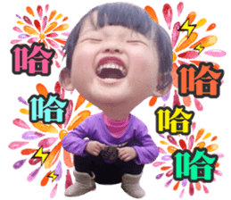 44333307