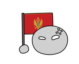 443337763