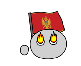 443337764