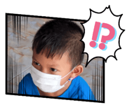 443346258