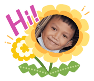 443346261