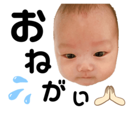 443355129