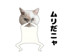 443362879