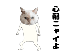 443362883