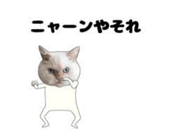 443362884