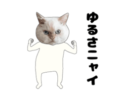 443362886