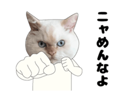443362890