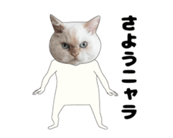 443362892