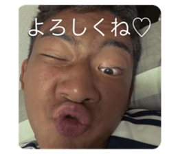 443410599
