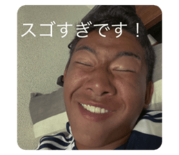 443410600