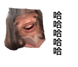443412196
