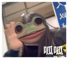 443412204