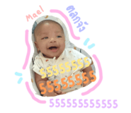 443425776