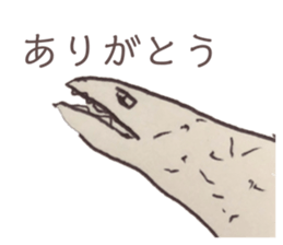 443439673