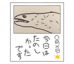 443439675