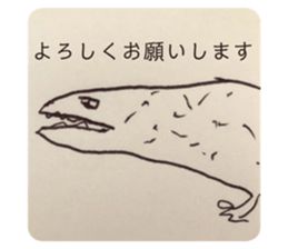 443439681
