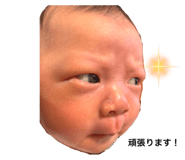 443455896
