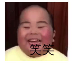 443475795