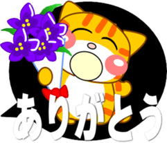 443501446