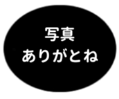 443539141