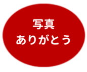 443539180