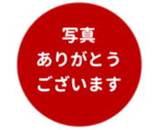 443539300