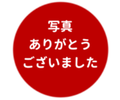 443539301