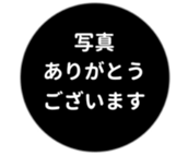 443539740