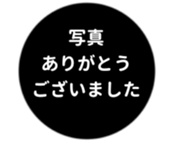 443539741