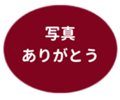 443539780