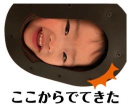 443549844