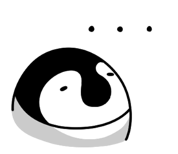 443573