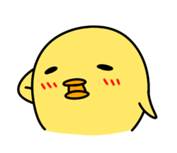 443579