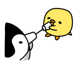 443589