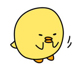 443593