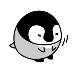 443594