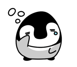 443597