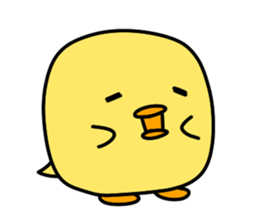 443606