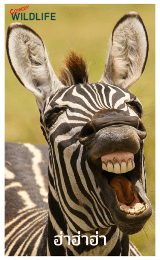 Comedy Wildlife Photography Awards comes รูปที่ 1