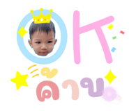 443699568
