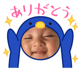 443743650