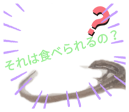 443748447