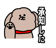 443750467