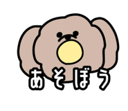443750469